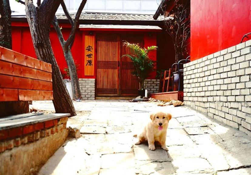 Gasthof Morning Calm The Asw House Seoul